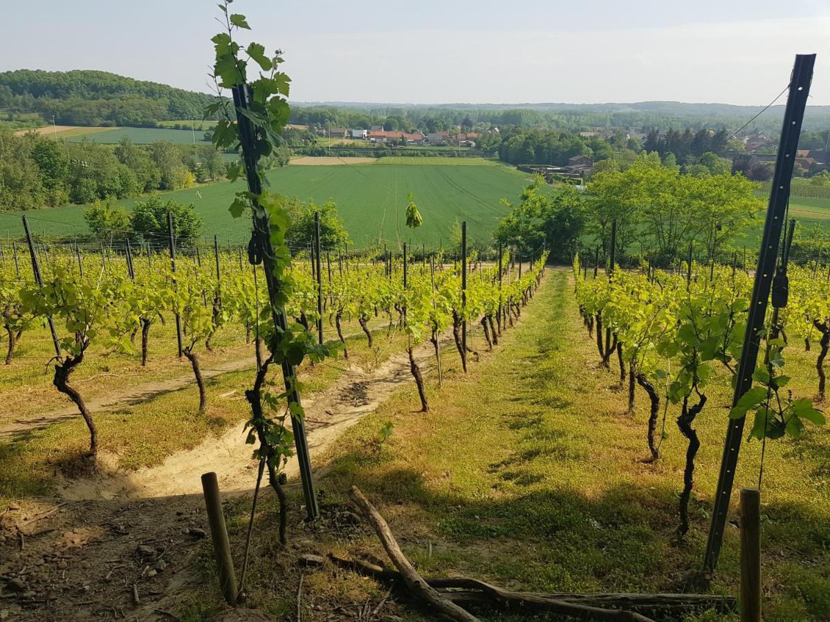 مبيت وإفطار Heverlee Boslucht Leuven المظهر الخارجي الصورة