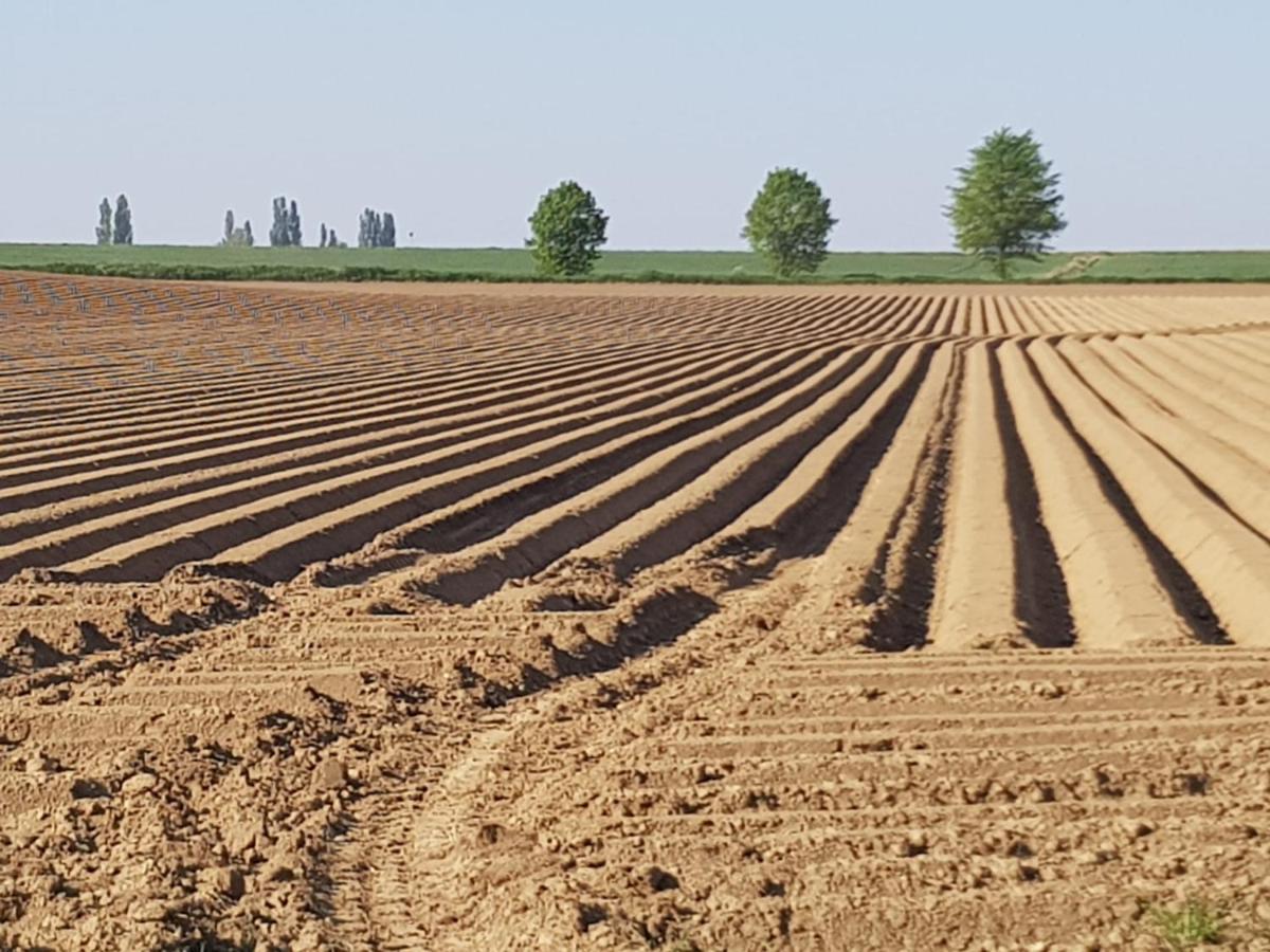 مبيت وإفطار Heverlee Boslucht Leuven المظهر الخارجي الصورة