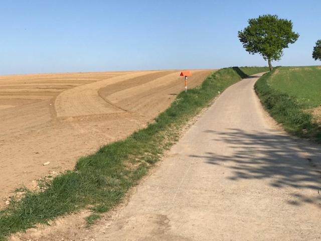 مبيت وإفطار Heverlee Boslucht Leuven المظهر الخارجي الصورة