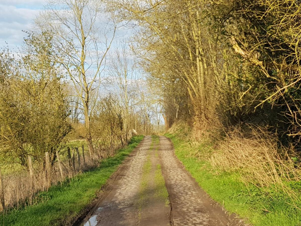 مبيت وإفطار Heverlee Boslucht Leuven المظهر الخارجي الصورة
