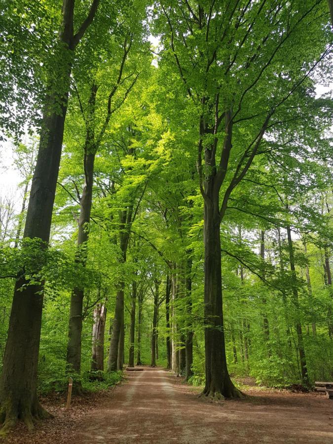 مبيت وإفطار Heverlee Boslucht Leuven المظهر الخارجي الصورة